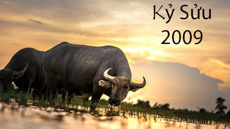 2009 tuổi gì? Những người sinh năm 2009 nên chú ý điều gì?